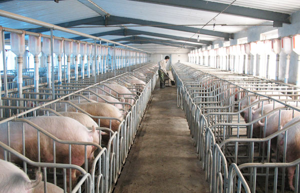 �i��(ch��ng)���ˮ����