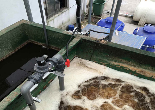 �����B�VҺ̎��