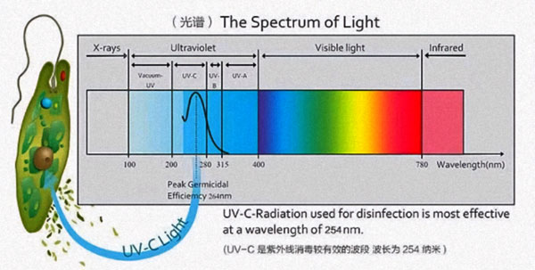 ���⾀��������